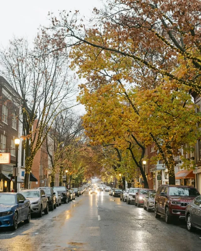Fall in Frederick🍂✨ The magic of the season carried through every part of this day—from crisp leaves on the streets to an unforgettable celebration inside Citizens Ballroom.

Venue: @citizensballroom @fetewell
Photography: @taylorwebsterphotography

#citizensballroom #fetewell #frederickwedding #historicweddingvenue #weddingvenue #marylandwedding #maryland #fetewell #fallwedding #marylandweddingvenue