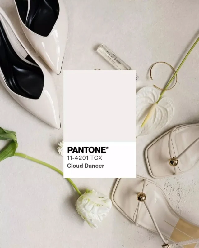 @pantone’s 2026 color of the year is a study in simplicity—and a reminder that quiet design can still make a statement.

At Citizens Ballroom, we’ve seen this soft, airy shade come to life in countless ways: sleek modern tablescapes, romantic florals, elegant stationery, and minimalist bridal fashion that shines against the venue’s historic architecture.

Cloud Dancer embodies what so many couples are drawn to right now: an effortless balance of refinement and warmth. It’s adaptable, timeless, and deeply romantic, allowing every texture, detail, and emotion to take center stage.

Why we love it:
- It pairs beautifully with the natural light and architectural texture of Citizens Ballroom.
- It’s a neutral that feels anything but ordinary—layered, nuanced, and endlessly versatile.
- It speaks to a broader design shift: weddings that favor feeling and authenticity over excess.

2026, you look good already🤍

Venue:
@fetewell @citizensballroom 

Photographers:
1: @susanlyphotography 
2: @joshuabinghamphotography
3: @niandxiaophotography
4: @maddiekayephoto
5: @taylorwebsterphotography
6: @weddingsbycamren
7: @flordecampo.co
8. @kylee_b_photography
9. @paperboysweddings
10. @flordecampo.co